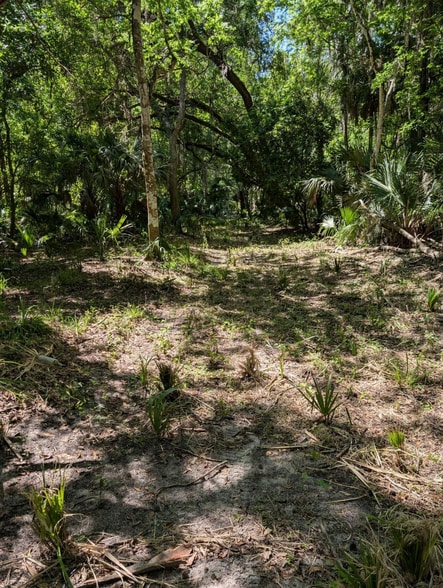 0 NW 202nd Pl, McIntosh, FL for sale - Building Photo - Image 2 of 7