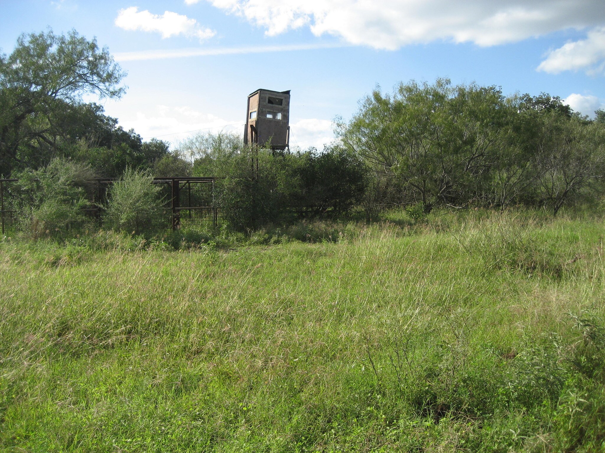 County Rd 310, Charlotte, TX for sale Other- Image 1 of 1