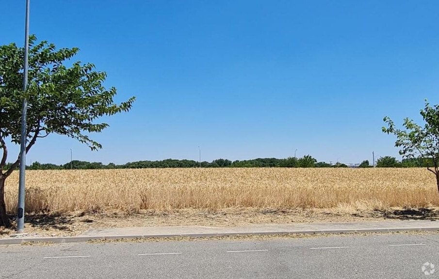 Land in Illescas, Toledo for lease - Building Photo - Image 2 of 2