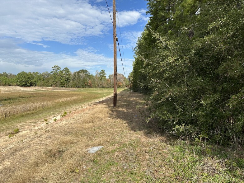 19216 Easley St, Shenandoah, TX for sale - Building Photo - Image 2 of 3