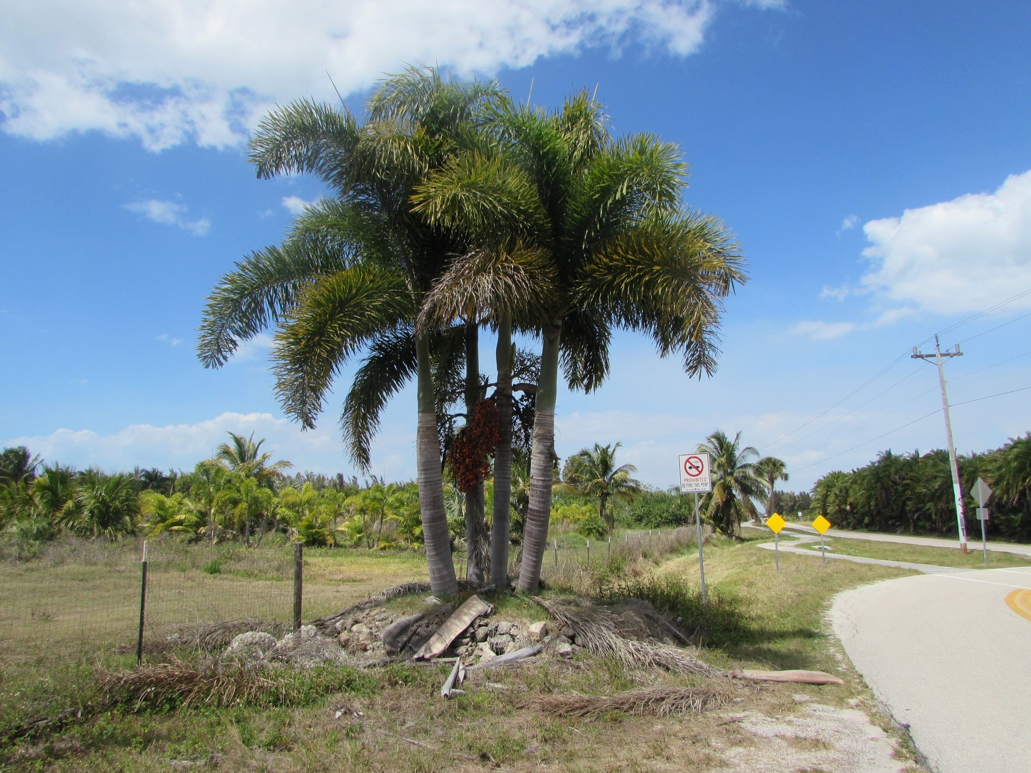 Stringfellow Rd, Bokeelia, FL for sale Building Photo- Image 1 of 1