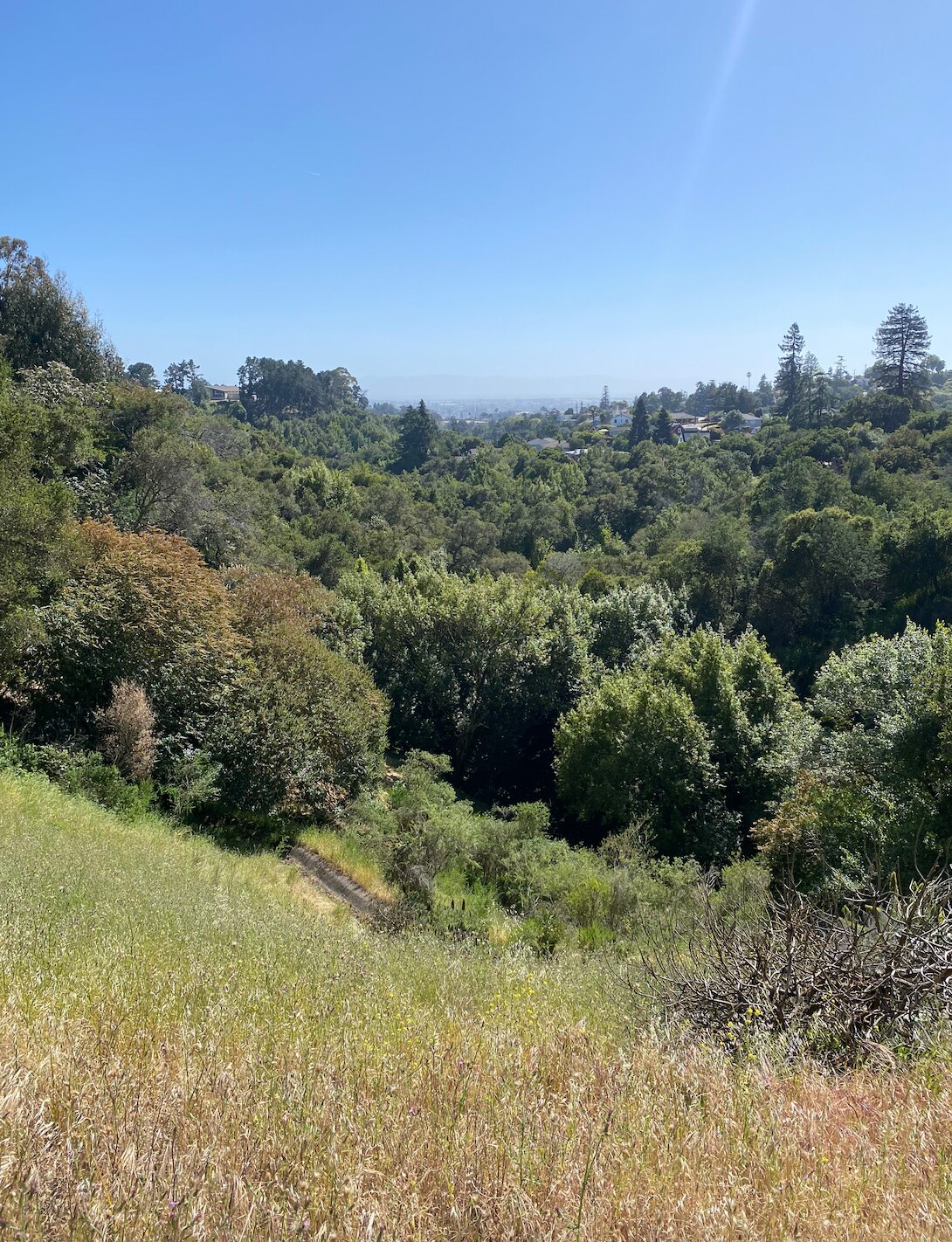 4145 Oak Hill Rd, Oakland, CA for sale Primary Photo- Image 1 of 6