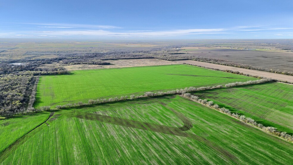 TBD Wall St Rd, Gunter, TX for sale - Aerial - Image 2 of 21