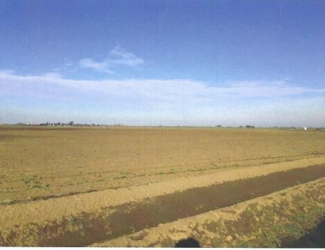 14950 W Grimes Rd, Tracy, CA for sale - Primary Photo - Image 1 of 1