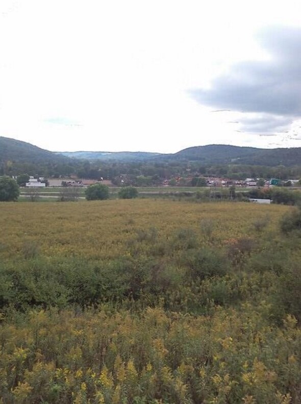 State Route 53, Bath, NY for sale Primary Photo- Image 1 of 1