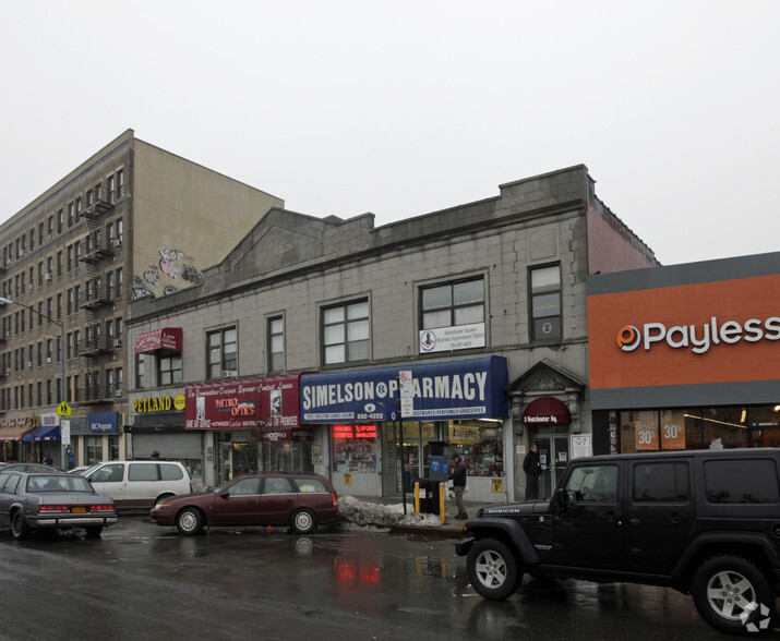 Petland bronx outlet