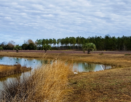 Lake Ashwood Rd, Sumter, SC for sale - Primary Photo - Image 1 of 1