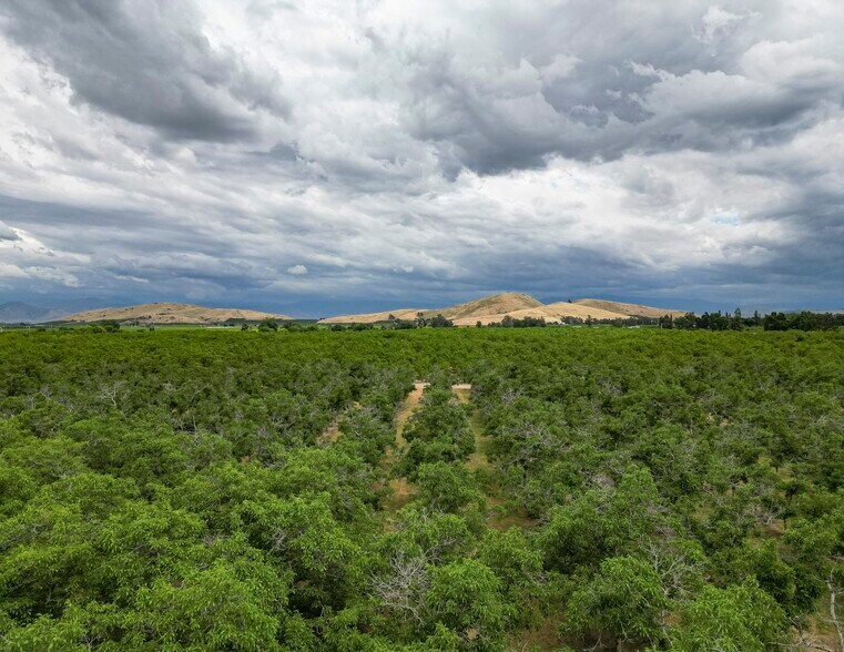 0 Ave 320 & Ivanhoe Dr, Ivanhoe, CA 93235 +/65.37 Acres Walnuts