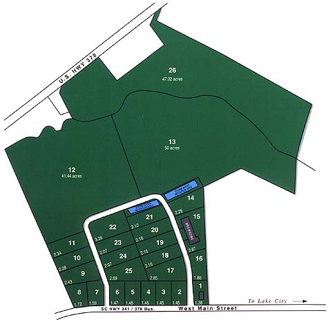 Lot 7 W Main St, Lake City, SC for sale - Primary Photo - Image 1 of 1