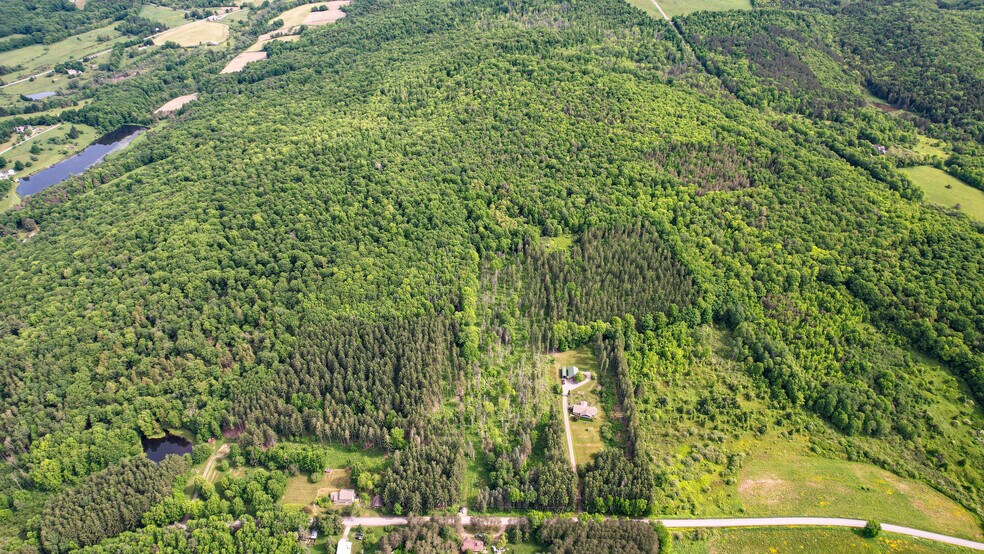 503 Ricetown Rd, Cooperstown, NY 13326 Land for Sale