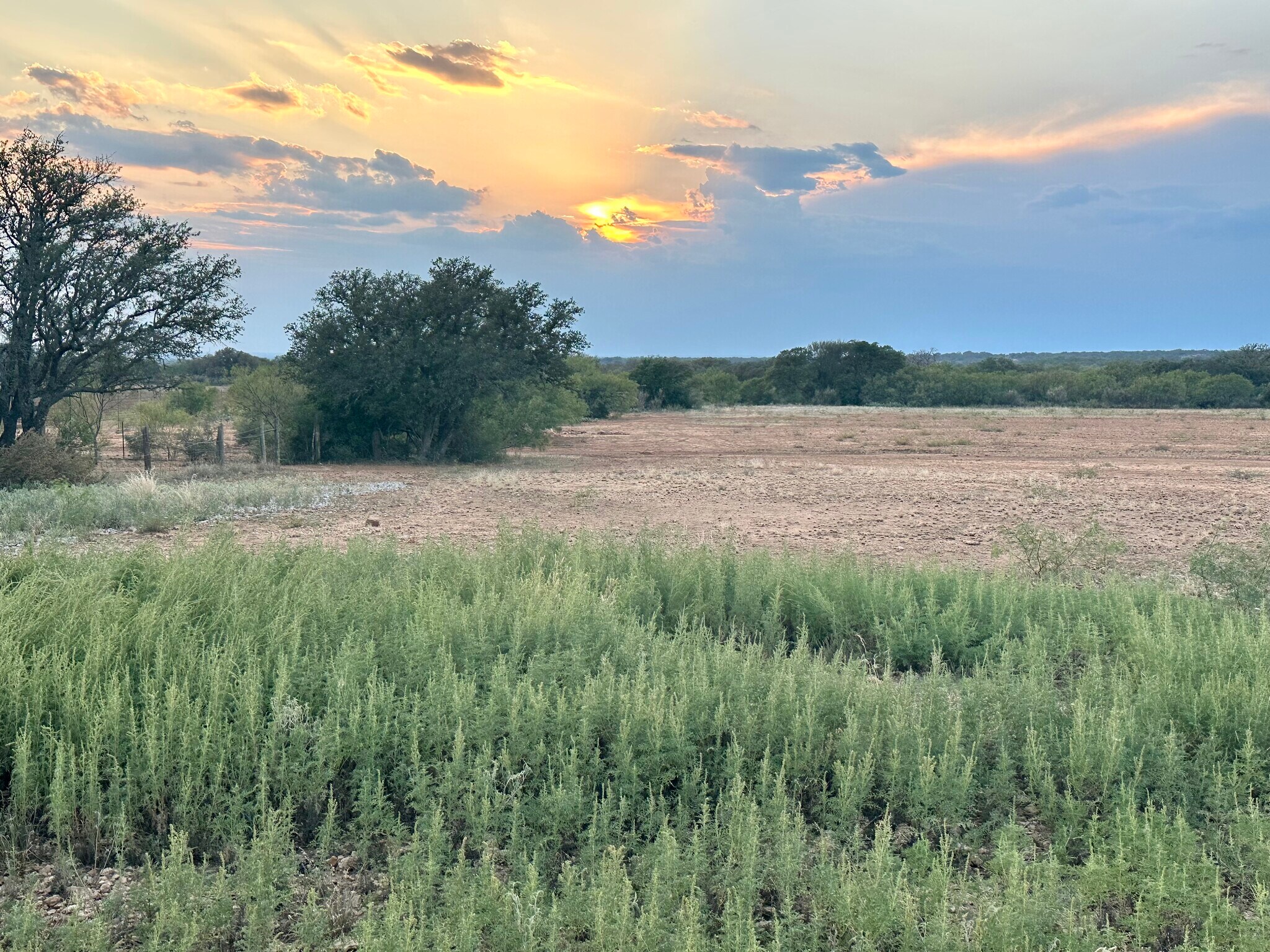 1681 FM 574 W, Mullin, TX for sale Building Photo- Image 1 of 84