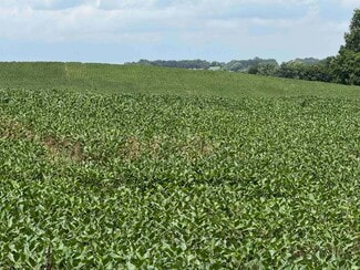 More details for 50 N US HWY 41, Princeton, IN - Land for Sale