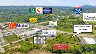 More details for 2485 S Wilcox Dr, Kingsport, TN - Land for Lease