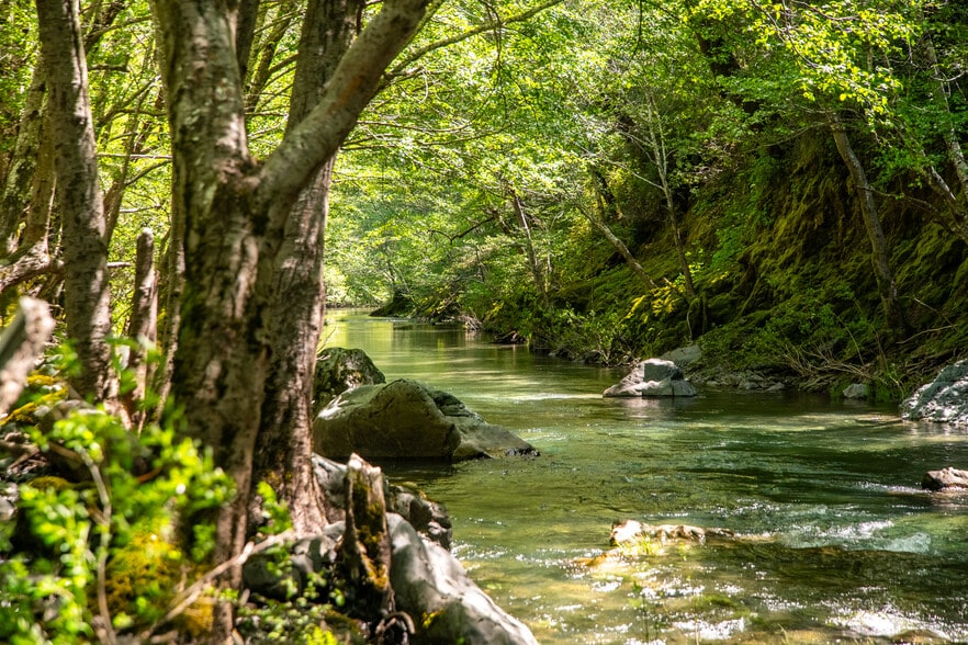 8555 Signal Ridge Road, Philo, CA for sale - Building Photo - Image 3 of 35