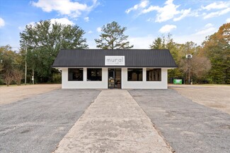 More details for 19115 S Third St, Citronelle, AL - Retail for Sale