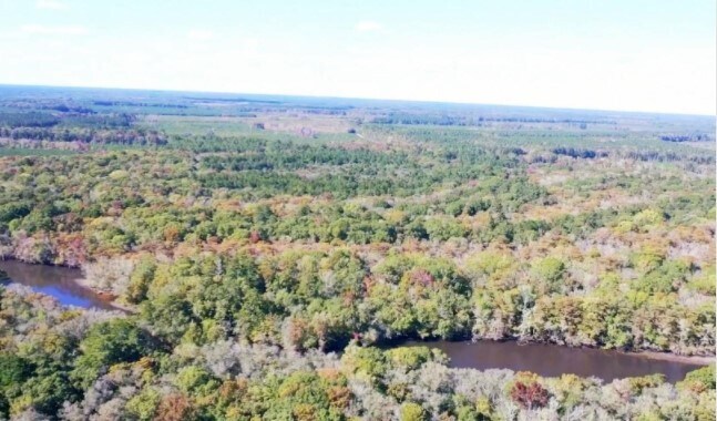 6895 Parkers Ferry Rd, Adams Run, SC for sale - Primary Photo - Image 1 of 1