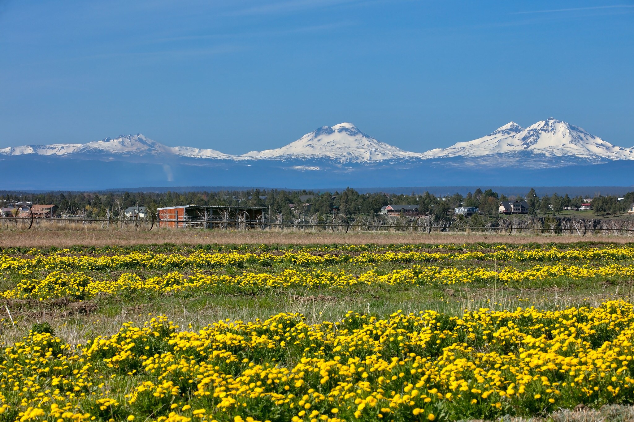 6319 SW Keeney Ln, Culver, OR for sale Primary Photo- Image 1 of 1