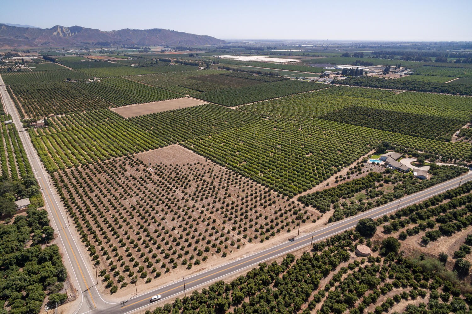 13922 Foothill Rd, Santa Paula, CA for sale Primary Photo- Image 1 of 1