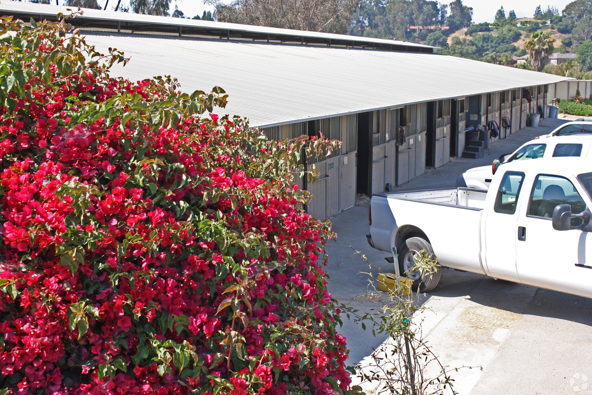 31441 Avenida De La, San Juan Capistrano, CA 92675 Rancho Sierra