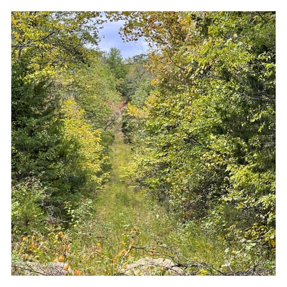 2896 State Highway YY, Shell Knob, MO for sale - Other - Image 1 of 1