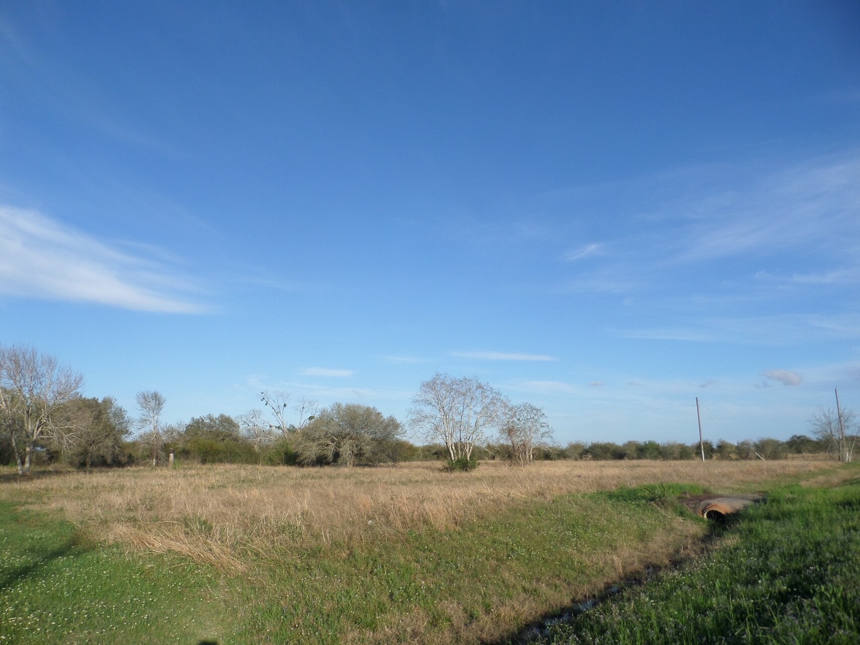 10231 FM 361 Rd, Needville, TX for sale Primary Photo- Image 1 of 1