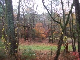 Lafayette Rd, Rocky Face, GA for sale - Primary Photo - Image 1 of 1