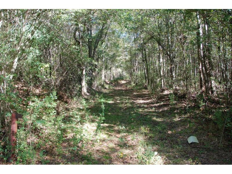 000 Old State Rd, Pendergrass, GA for sale Primary Photo- Image 1 of 1