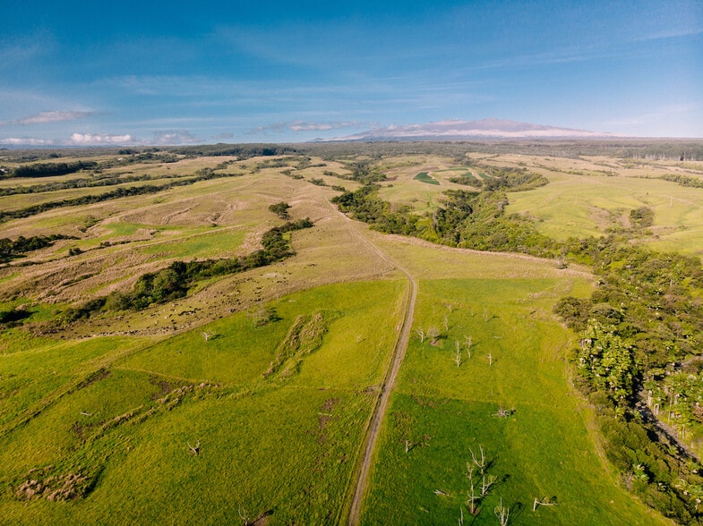 27-476 Indian Tree Rd, Papaikou, HI for sale - Aerial - Image 1 of 1