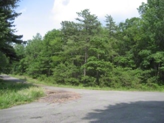 Route 903, Albrightsville, PA for sale - Primary Photo - Image 1 of 1