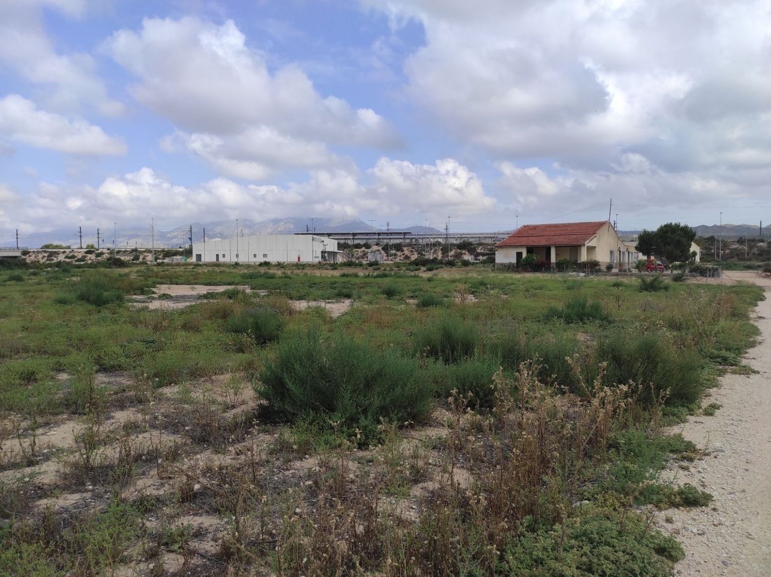 Land in Elche for sale Building Photo- Image 1 of 23