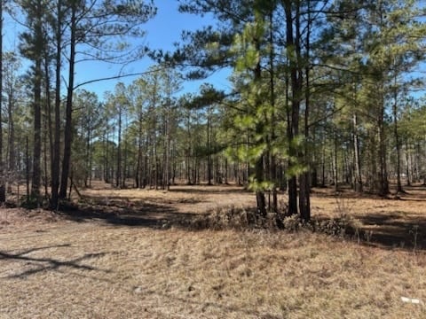 North Fraser St, Georgetown, SC for sale - Floor Plan - Image 2 of 4