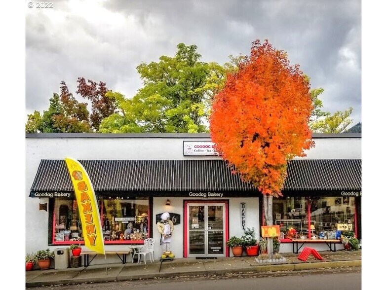 236 N Main St, Myrtle Creek, OR 97457 Retail for Sale