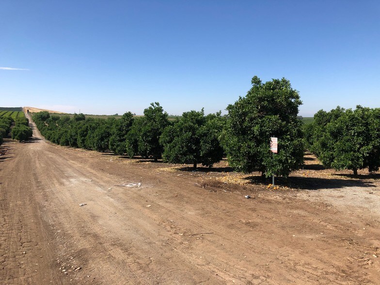 Avenue 82, Terra Bella, CA 93270