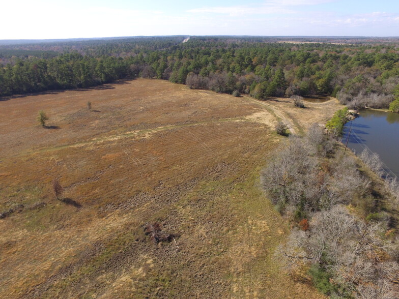 13.71 Ac Percy Howard Tract 1 rd, Huntsville, TX for sale - Other - Image 3 of 3