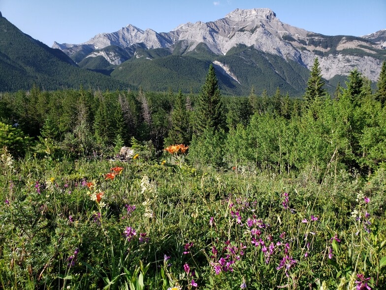 Heart Mountain Dr, Exshaw, AB for sale - Other - Image 3 of 4