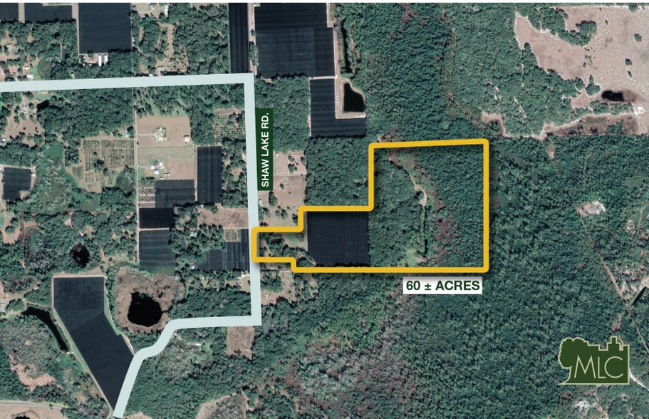 701-735 Shaw Lake Road, Pierson, FL for sale - Primary Photo - Image 1 of 4