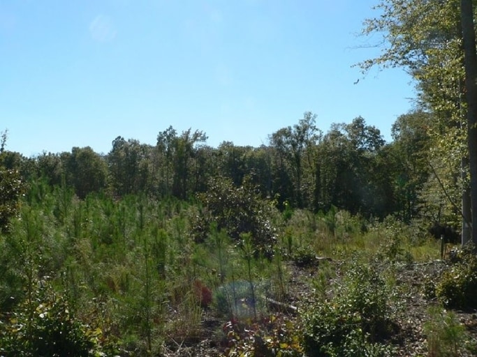 16215 Eltham Rd, Lanexa, VA for sale Building Photo- Image 1 of 5