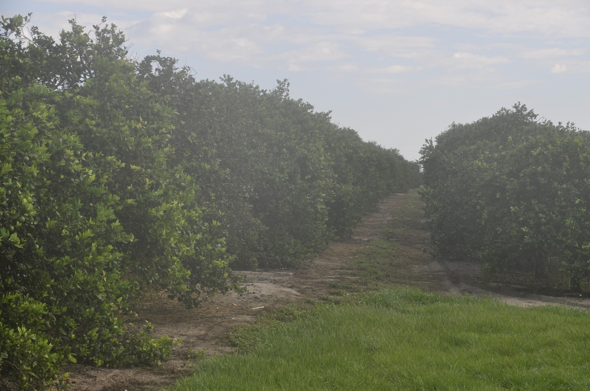 Lake Ida Rd, Frostproof, FL for sale Primary Photo- Image 1 of 1