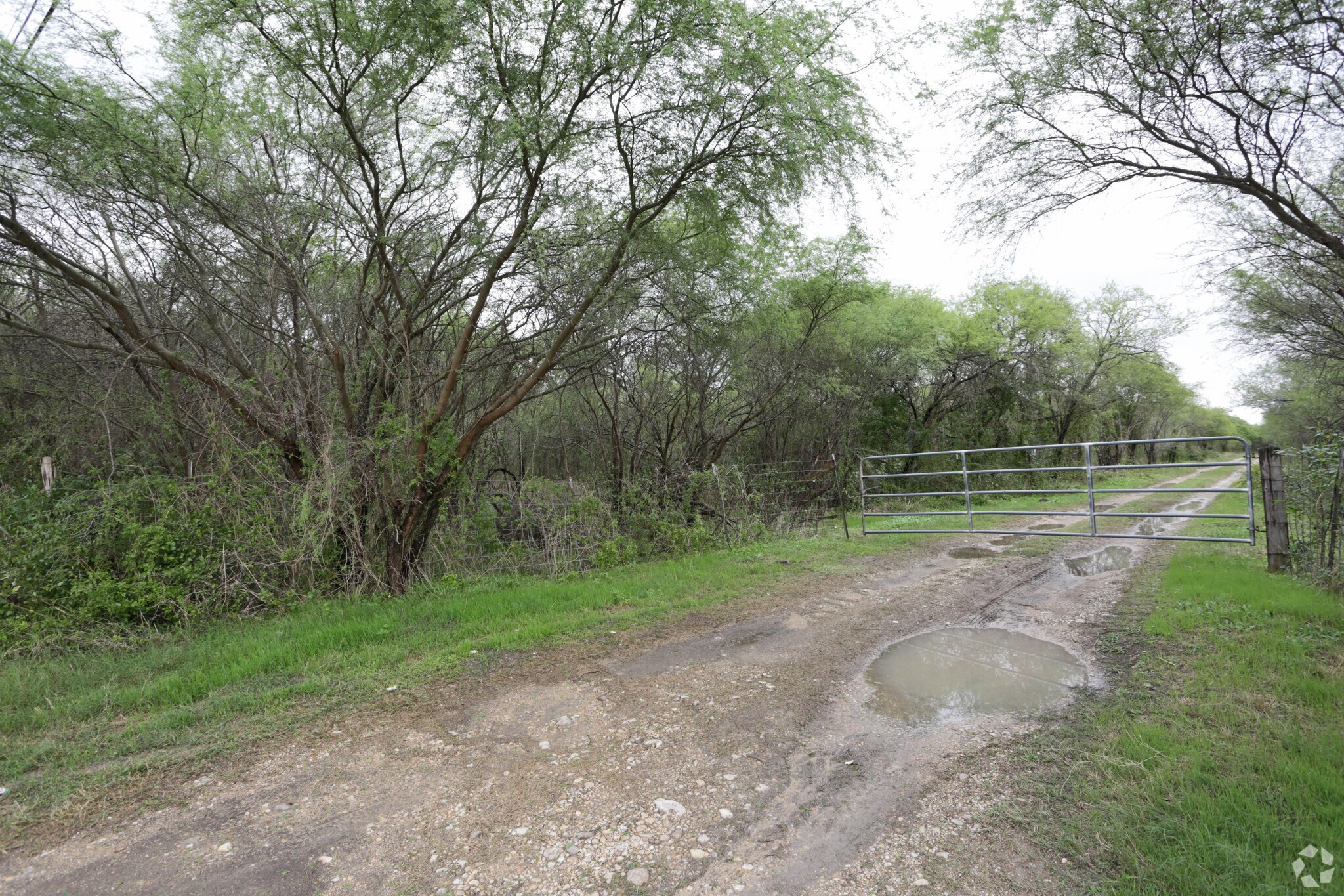 509 N Haeckerville Rd, Cibolo, TX for sale Primary Photo- Image 1 of 1
