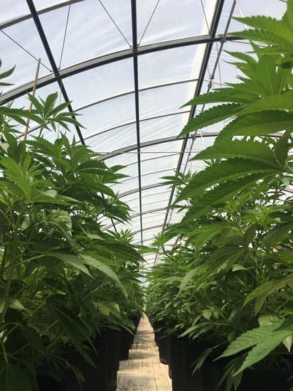 348 Queens Branch, Rogue River, OR for sale Other- Image 1 of 1