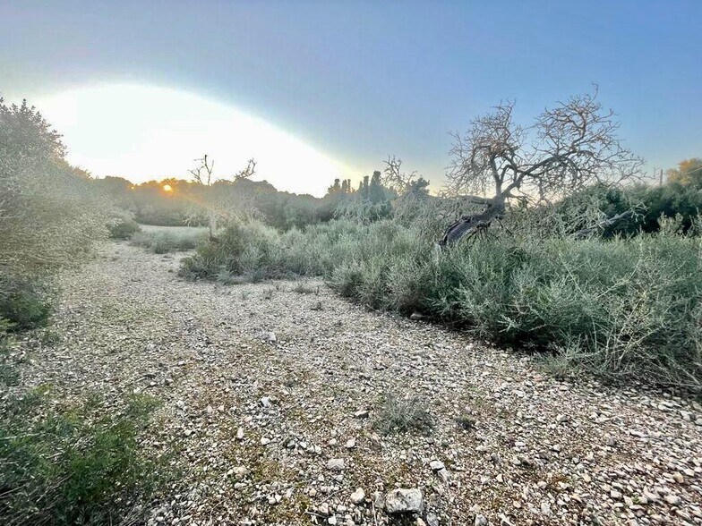 Land in Manacor, Islas Baleares for sale - Site Plan - Image 3 of 5