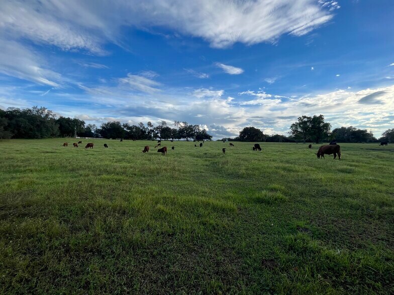 Scharber Road, Dade City, FL 33525 Sunny Hills