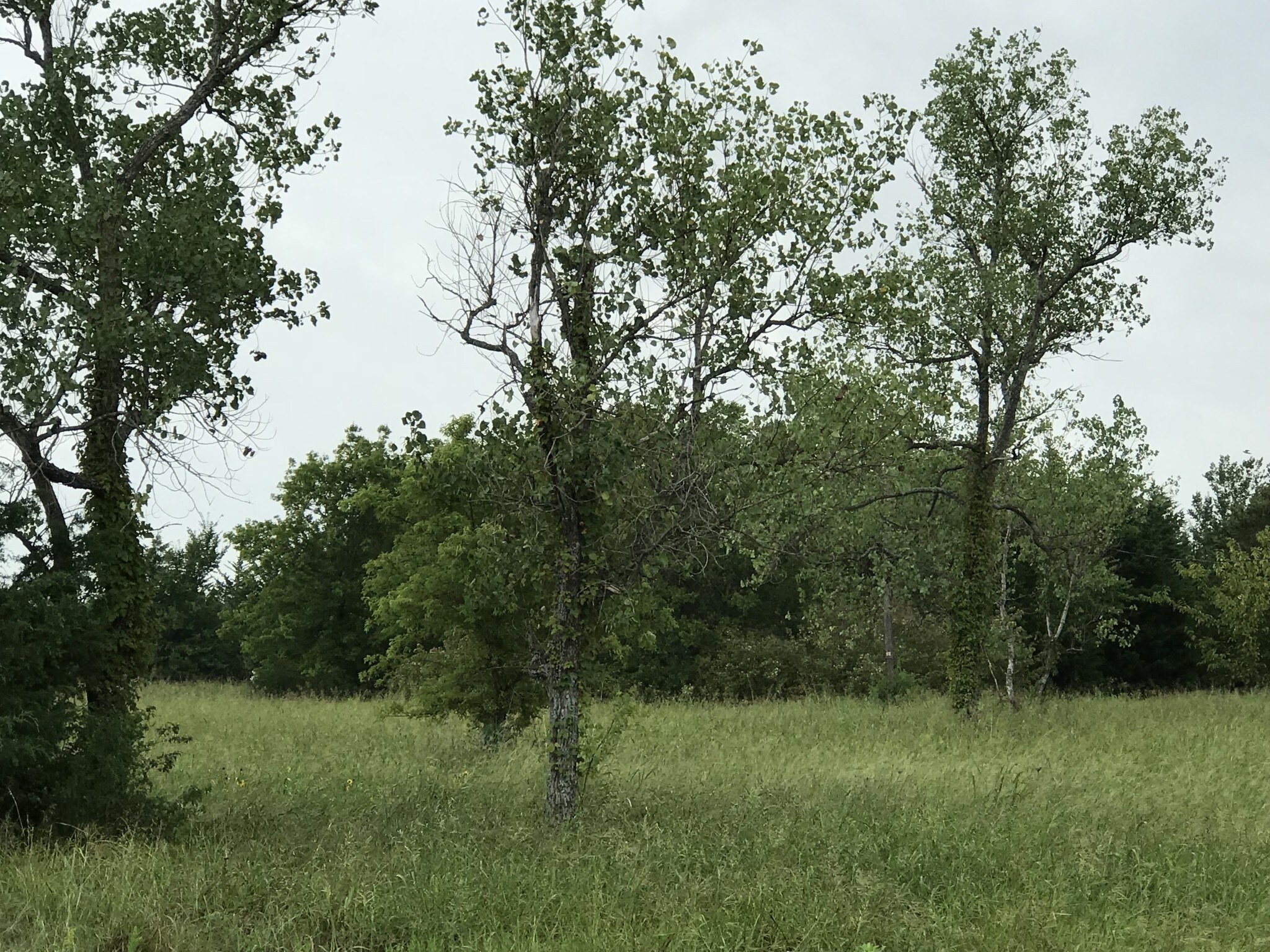 2040 Greene Rd, Lancaster, TX for sale Other- Image 1 of 1