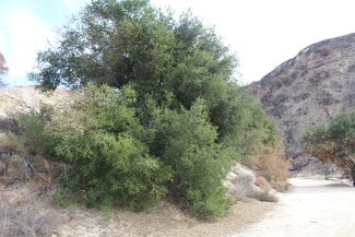 More details for 31029 Hasley Canyon Rd, Castaic, CA - Land for Sale