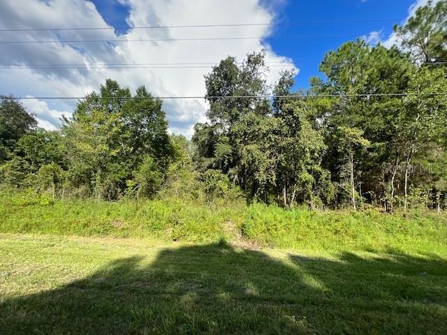 Treiman Blvd, Webster, FL 33597 | LoopNet