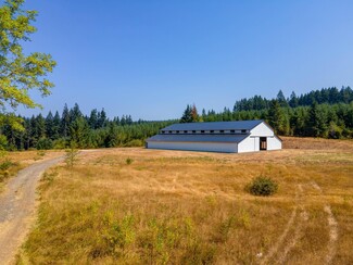 More details for 17401 NE 217th Ave, Brush Prairie, WA - Land for Sale