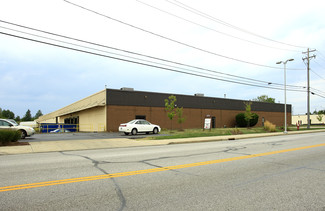 More details for 1100 E 222nd St, Euclid, OH - Flex, Industrial for Lease