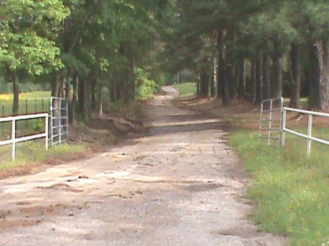 9570 CR 4357, Larue, TX for sale - Building Photo - Image 1 of 1