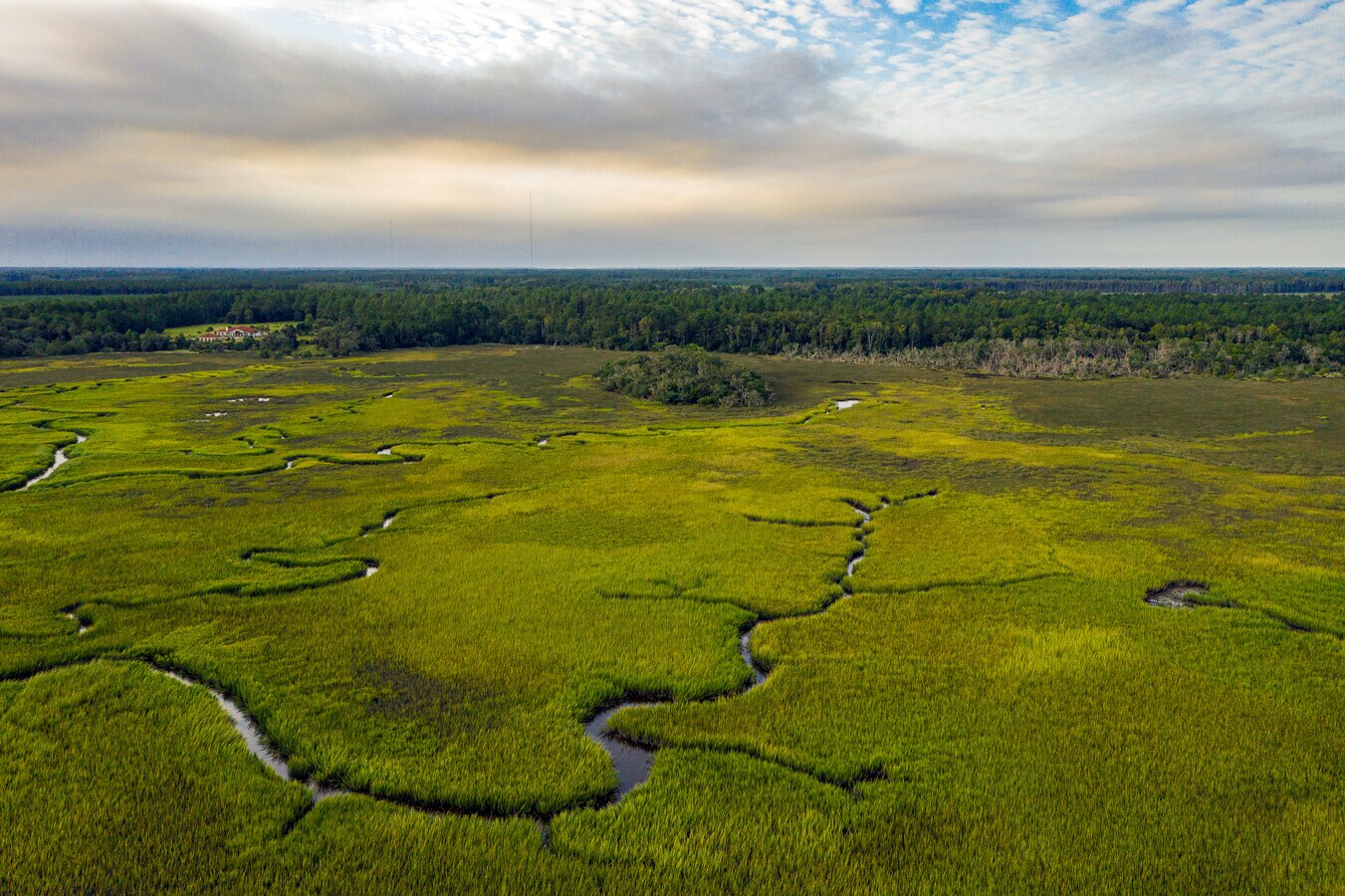 NE Harris Neck Rd, Townsend, GA 31331