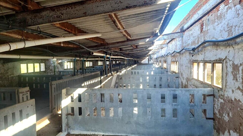 Industrial in Aniñón for sale - Building Photo - Image 2 of 12